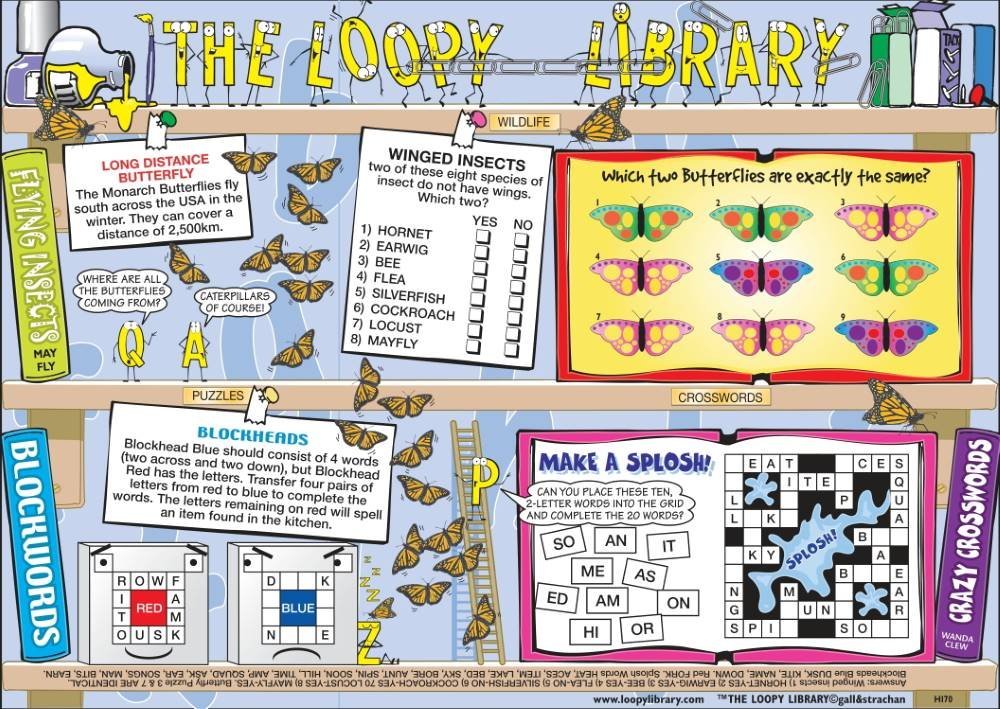 H170 Loopy Library Butterfly