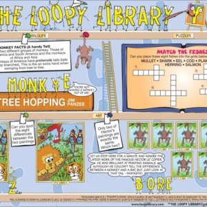 H380 Loopy Library Monkey Facts