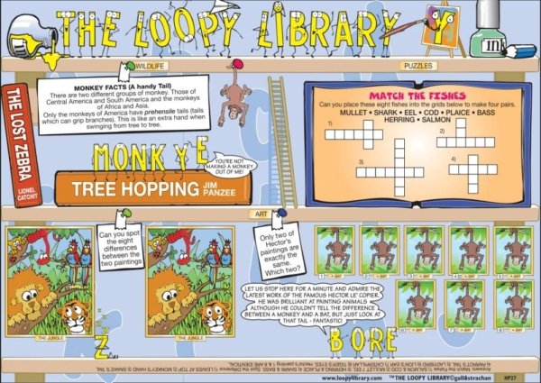 H380 Loopy Library Monkey Facts