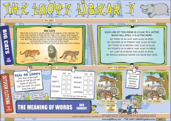 H402 Loopy Library Big Cats