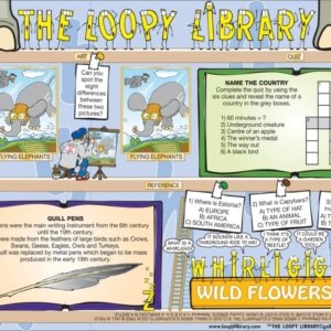 H449 Loopy Library Quill