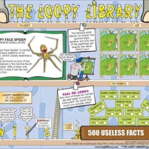 H500 Loopy Library Happy Face Spider