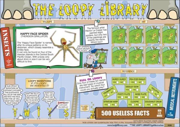 H500 Loopy Library Happy Face Spider