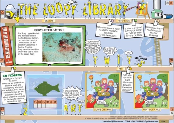 H566 Loopy Library Batfish