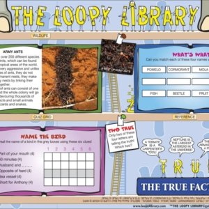 H577 Loopy Library Army Ants
