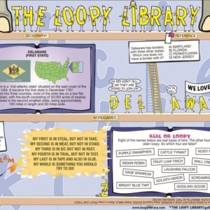 H590 Loopy Library Delaware