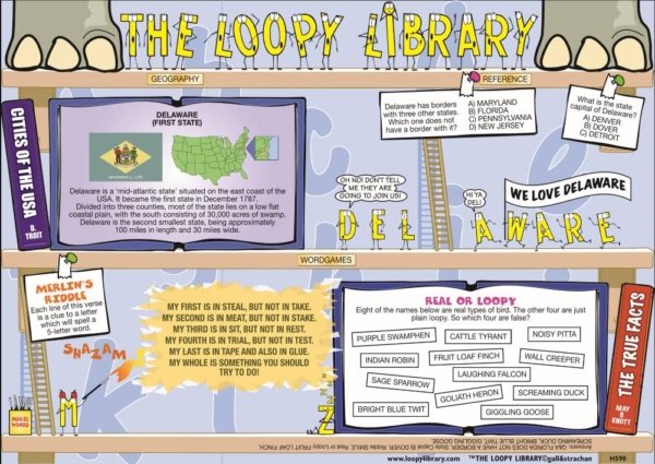 H590 Loopy Library Delaware