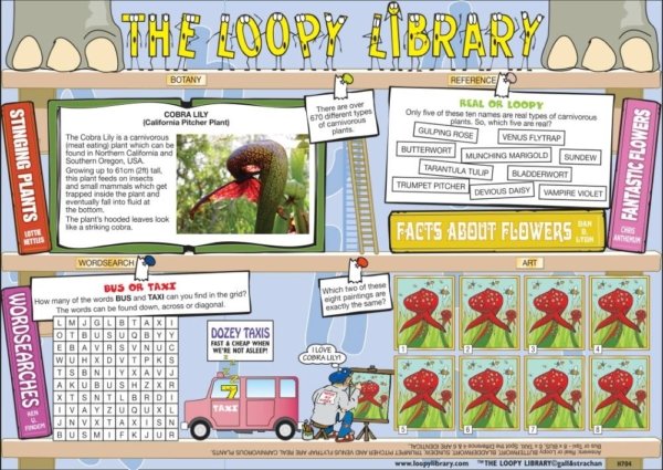 H704 Loopy Library Cobra Lily
