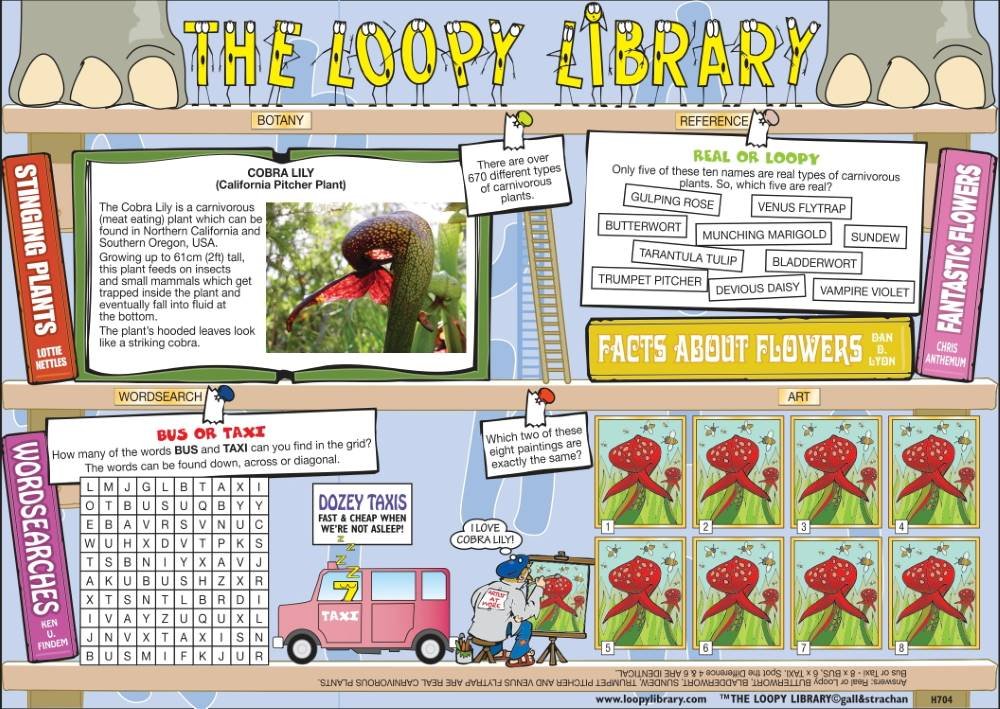H704 Loopy Library Cobra Lily