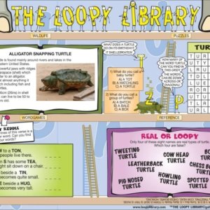 H725 Loopy Library Turtle