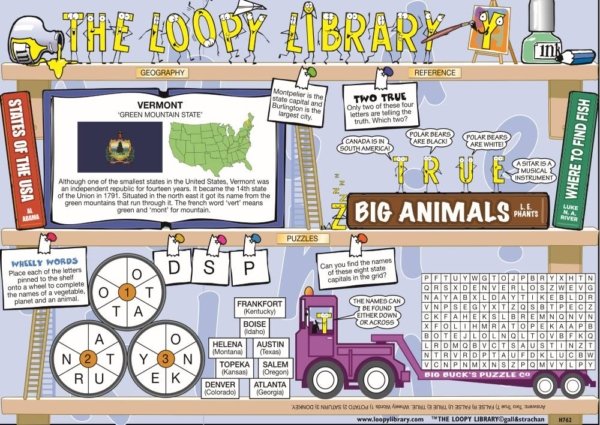 H762 Loopy Library Vermont